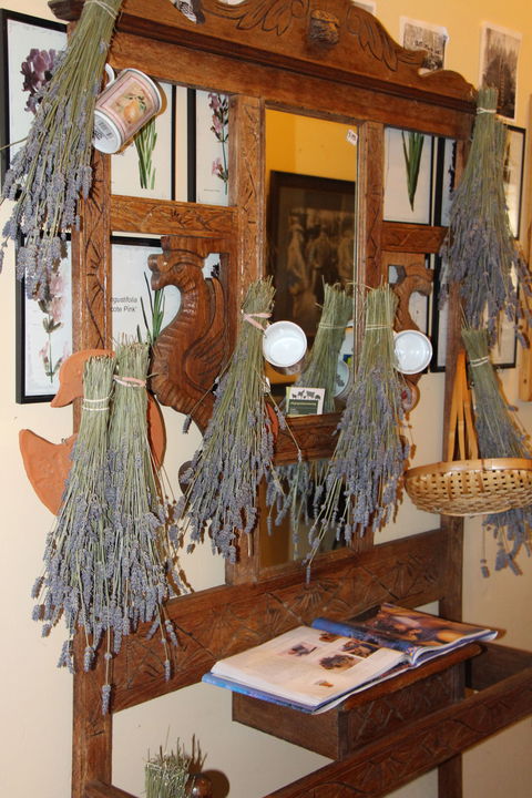 Lavender House In Railway Park - Accommodation Batemans Bay 1