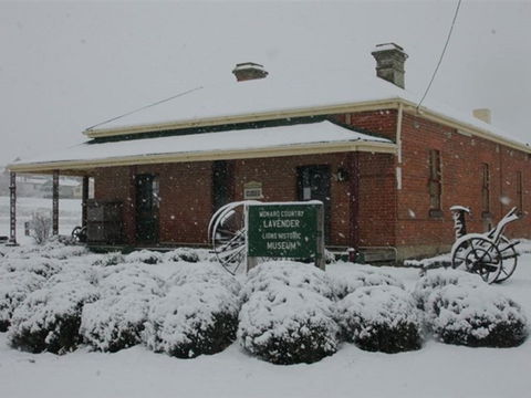Lavender House In Railway Park - Accommodation Batemans Bay 2