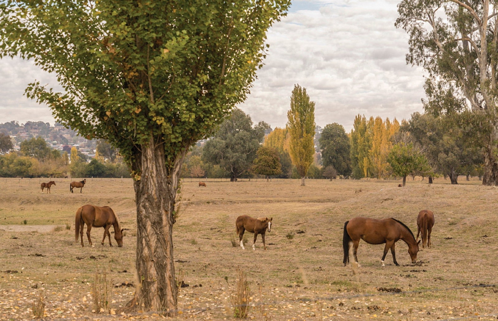 Lemington NSW Accommodation Batemans Bay