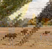 Lemington - Accommodation Batemans Bay