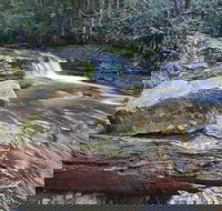 Liffey Falls Reserve - Accommodation Batemans Bay
