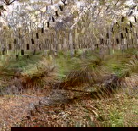 Livingstone National Park - Accommodation Batemans Bay