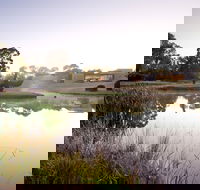 McClelland Sculpture Park  Gallery - Accommodation Batemans Bay
