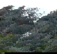 Mount Yarrowyck Nature Reserve - Accommodation Batemans Bay