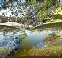 Murray Valley National Park - Accommodation Batemans Bay