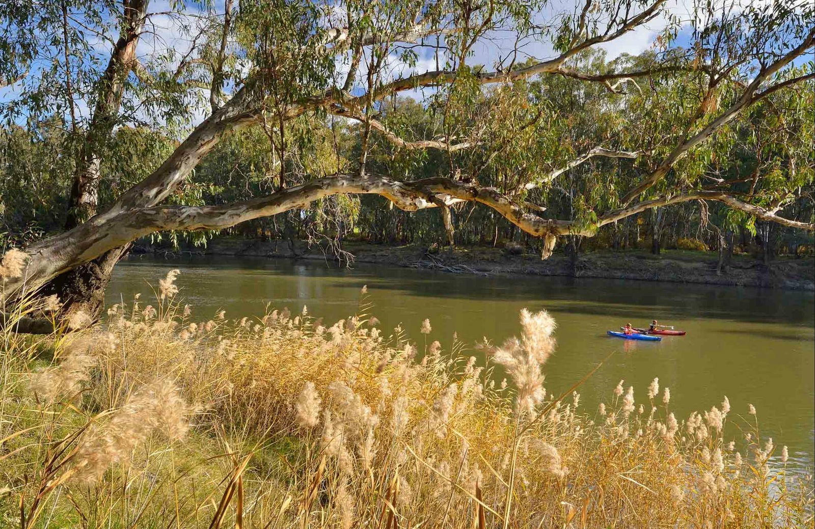 Yanga NSW Accommodation Batemans Bay