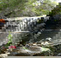 Nellies Glen Picnic Area - Accommodation Batemans Bay