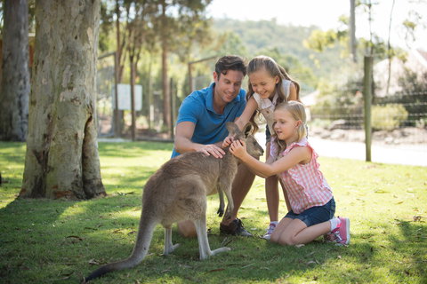 Paradise Country - Accommodation Batemans Bay 2