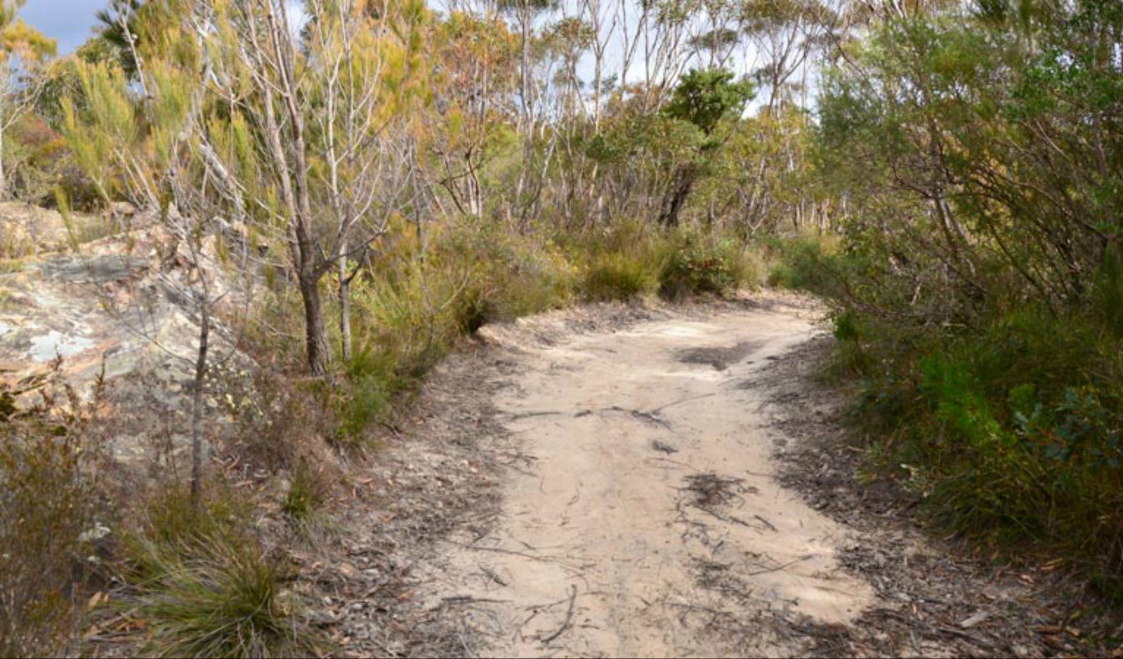 Browns Mountain NSW Accommodation Batemans Bay