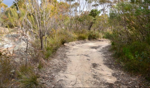 Red Rocks Trig Walking Track - Accommodation Batemans Bay 0