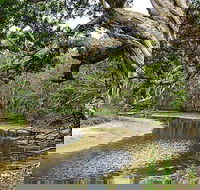 Saltwater National Park - Accommodation Batemans Bay