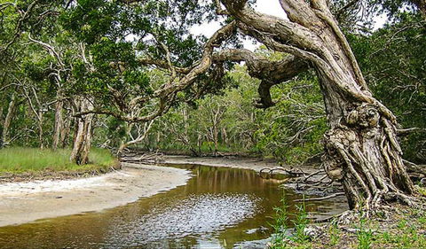 Saltwater National Park - Accommodation Batemans Bay 0