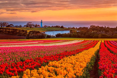 Table Cape - Accommodation Batemans Bay 0