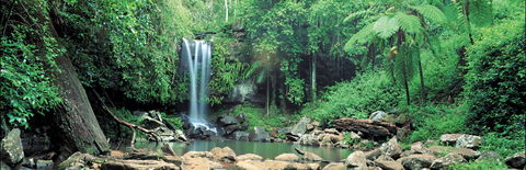 Tamborine National Park - Accommodation Batemans Bay 0