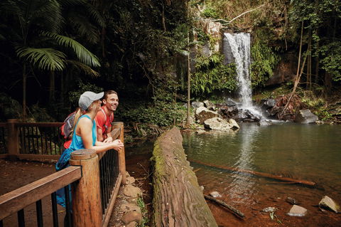 Tamborine National Park - Accommodation Batemans Bay 1