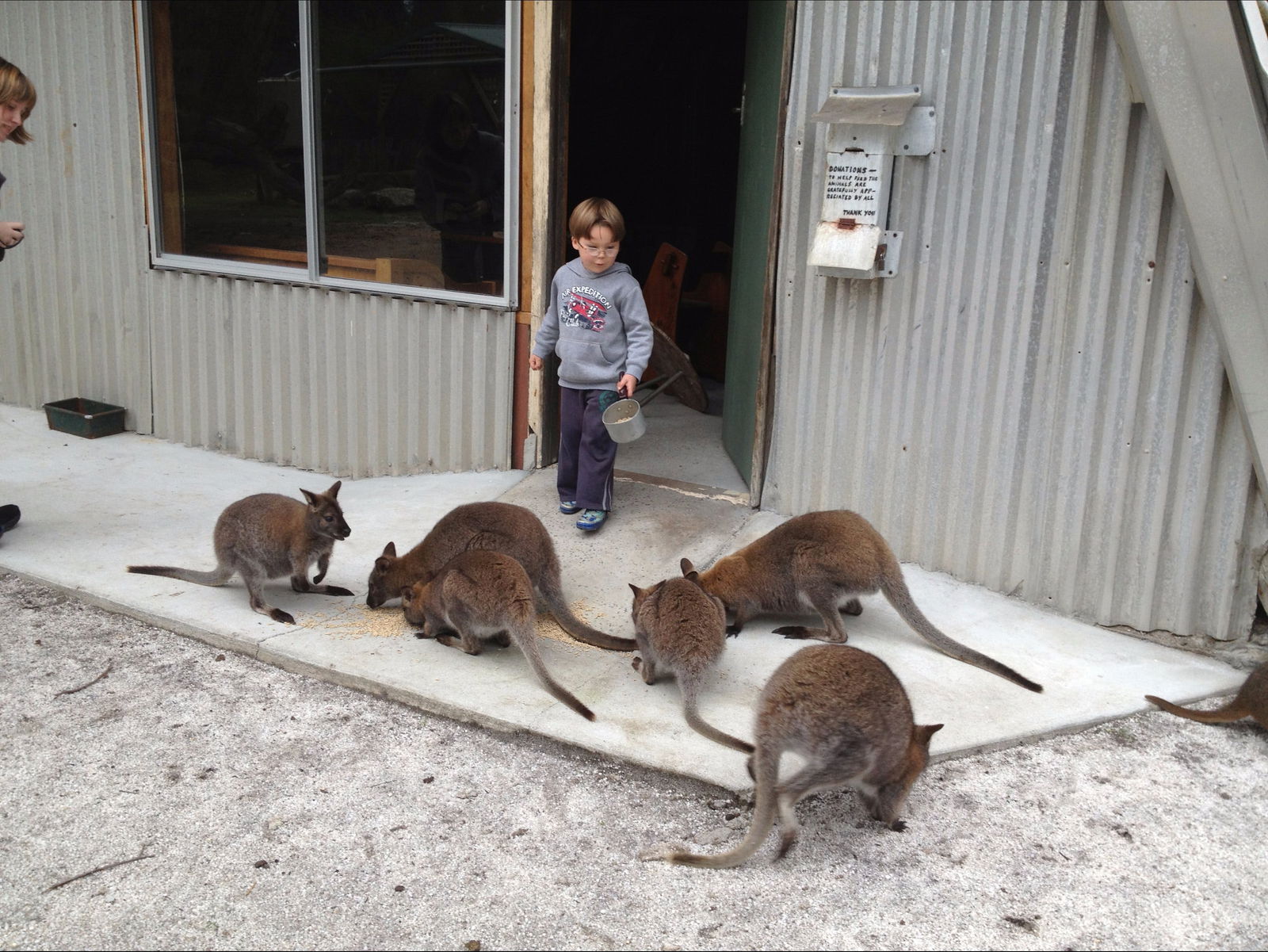 Memana TAS Accommodation Batemans Bay