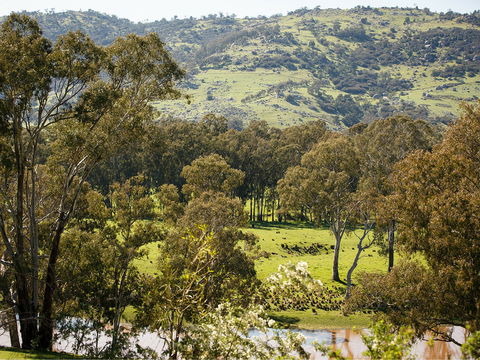 Trawool Valley - Accommodation Batemans Bay 0