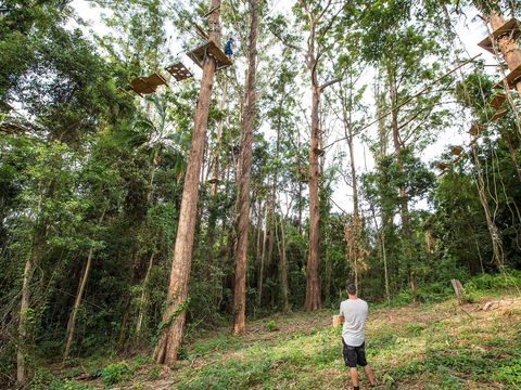 TreeTop Challenge - Sunshine Coast - Accommodation Batemans Bay 1