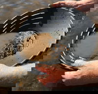 Tuena Panning for Gold - Accommodation Batemans Bay