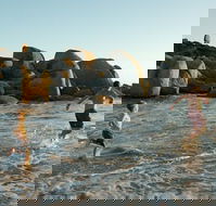 Venus Bay - Accommodation Batemans Bay