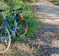 Walter Hood ride from Cudmirrah - Accommodation Batemans Bay