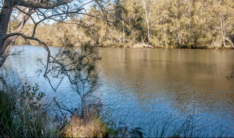 Wandandian Creek Picnic Area - Accommodation Batemans Bay 0