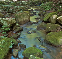 Whian Whian State Conservation Area - Accommodation Batemans Bay