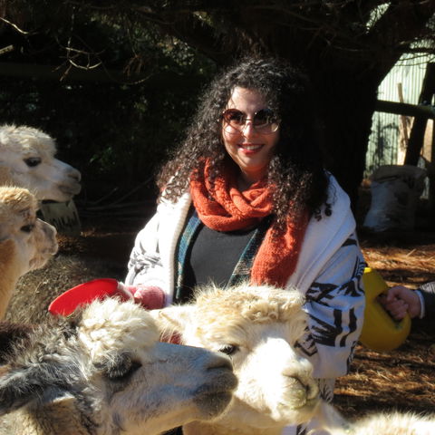 Alpaca Farm Experience At Crookwell - Accommodation Batemans Bay 1