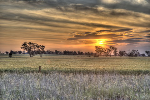 Ardlethan - Accommodation Batemans Bay 2