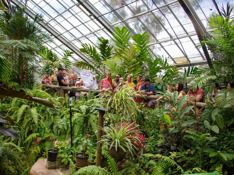 Australian Butterfly Sanctuary - Accommodation Batemans Bay 2