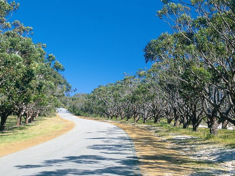 Avenue Of Honour - Accommodation Batemans Bay 1