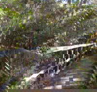 Awaba Bay Foreshore Walk - Accommodation Batemans Bay