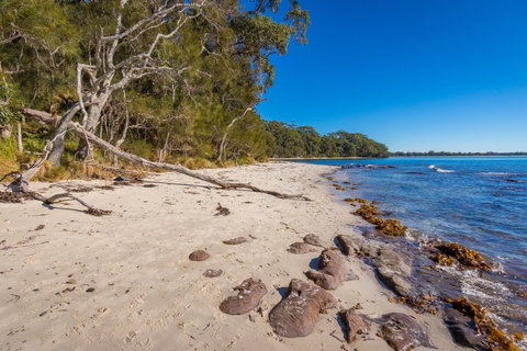 Barfleur Beach - Accommodation Batemans Bay 0