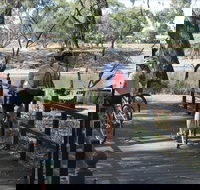 Bidgee Riverside Trail  - Hay Nature Walk - Accommodation Batemans Bay