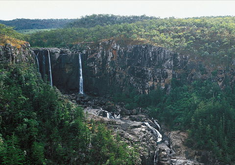 Blencoe Falls, Girringun National Park - Accommodation Batemans Bay 2