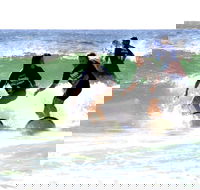 Broadbeach Surf School - Accommodation Batemans Bay