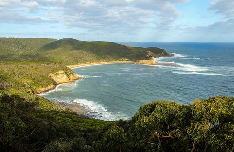 Bullimah Spur Track - Accommodation Batemans Bay 0