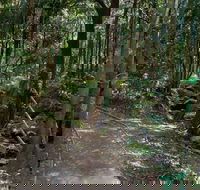 Cascades Walk - Accommodation Batemans Bay