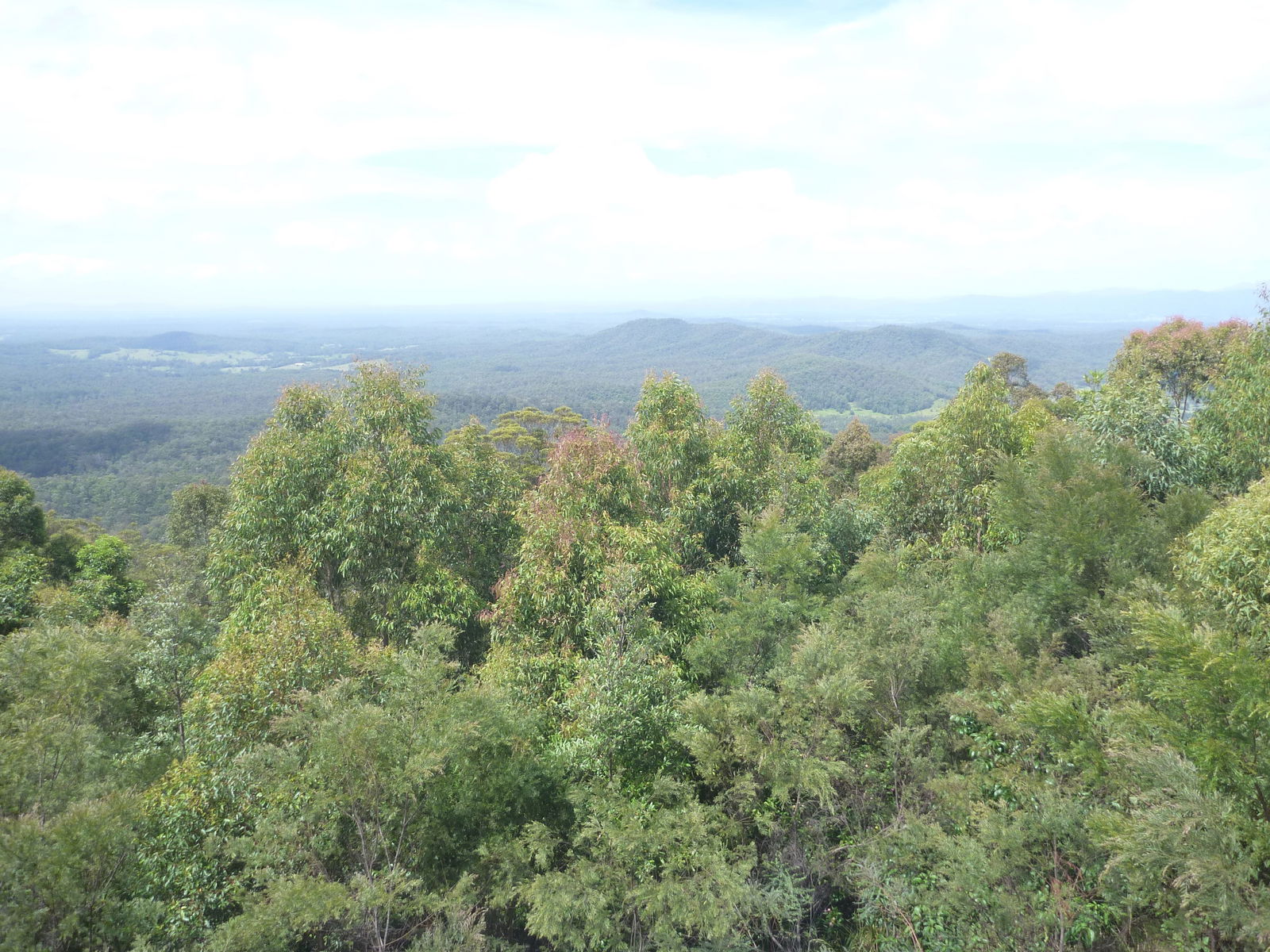 Mungay Creek NSW Accommodation Batemans Bay