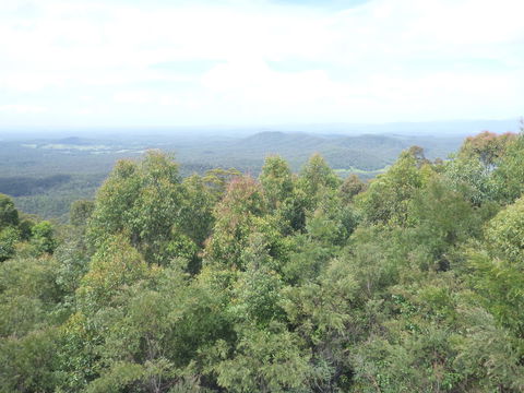 Collombatti Lookout - Accommodation Batemans Bay 0