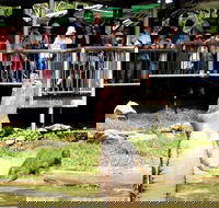 Crocodylus Park and Zoo - Accommodation Batemans Bay