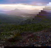 Cunninghams Gap and Spicers Gap Main Range National Park - Accommodation Batemans Bay