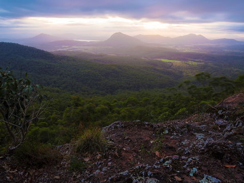 Cunninghams Gap And Spicers Gap, Main Range National Park - Accommodation Batemans Bay 0