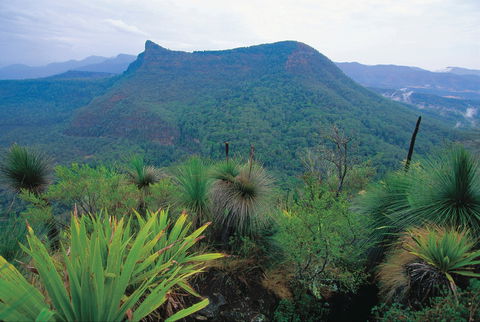 Cunninghams Gap And Spicers Gap, Main Range National Park - Accommodation Batemans Bay 1