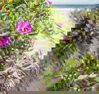 Fort Bribie - Accommodation Batemans Bay