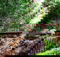 George Brown Darwin Botanic Gardens - Accommodation Batemans Bay