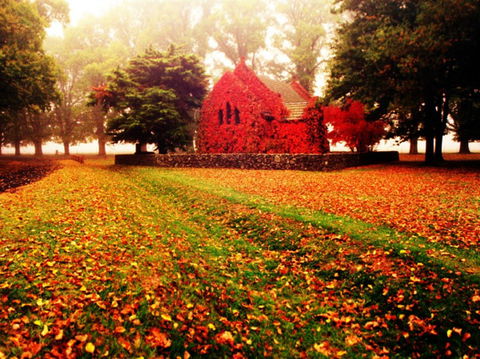Gostwyck Chapel - Accommodation Batemans Bay 0