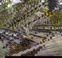 Governor Summit Corrunbral Borawah Walking Track - Accommodation Batemans Bay