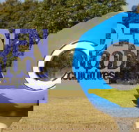 Hidden Rookwood Sculptures - Accommodation Batemans Bay