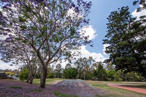 John Scott Park - Accommodation Batemans Bay 0
